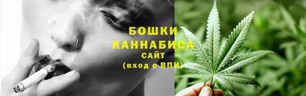крисы Армянск
