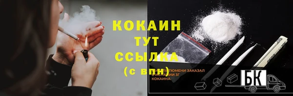 крисы Армянск