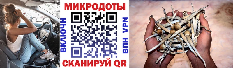 Псилоцибиновые грибы Magic Shrooms  кракен ссылки  мориарти как зайти  закладка  Аркадак 